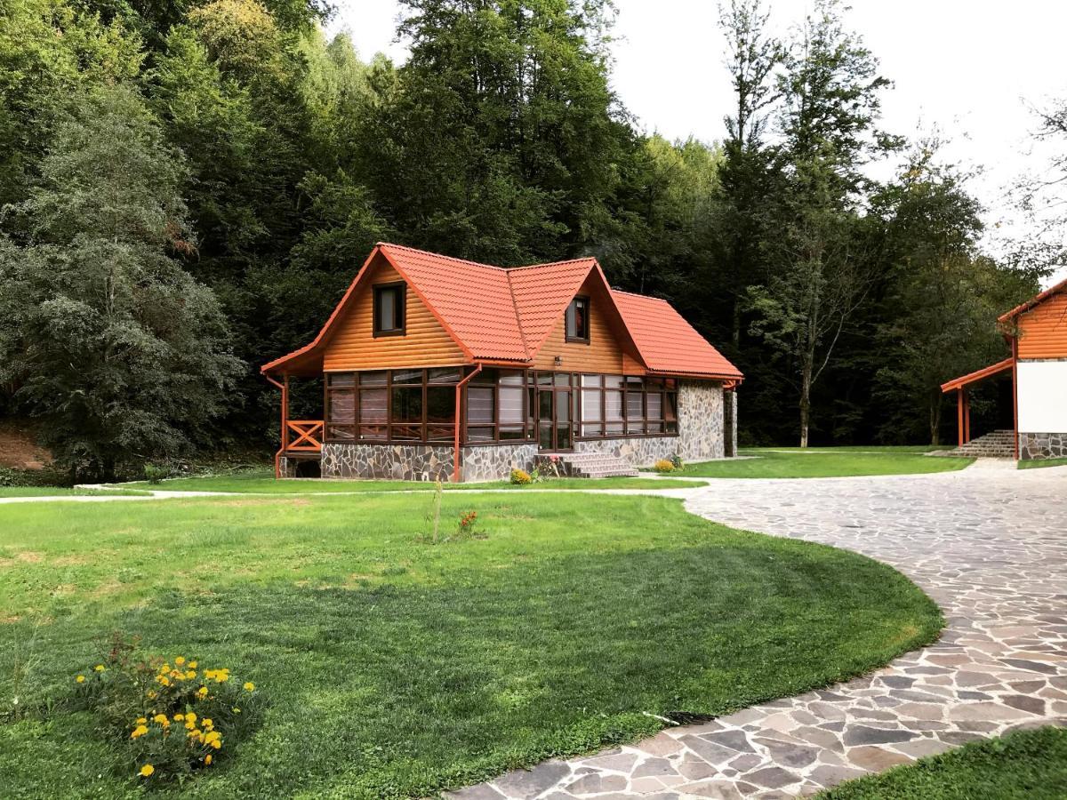 Darino Apartman Beregforrás Kültér fotó