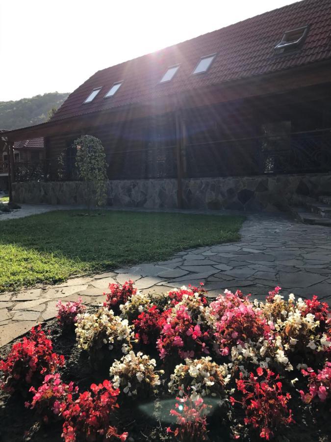 Darino Apartman Beregforrás Kültér fotó